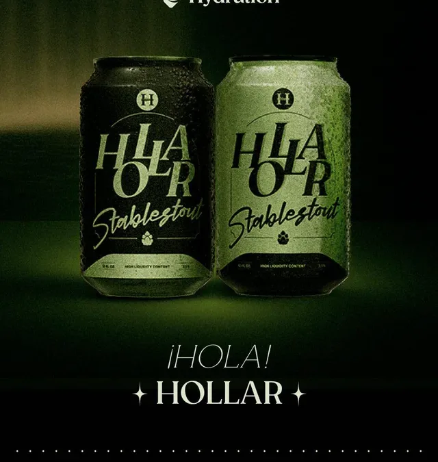 HOLLAR: El nuevo stablecoin del ecosistema Polkadot y por qué los “stables” están siendo clave